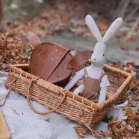 چمدان حصیری|صنایع دستی و سایر لوازم تزئینی|فولادشهر, C8|دیوار