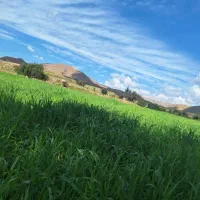 اجازع خانه سویت چشمه دیمه 750هزار تومان|اجارهٔ کوتاهمدت ویلا و باغ|کوهرنگ, |دیوار