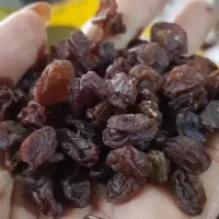 پخش عمده کشمش صفا|عمدهفروشی|اهواز, کیانشهر|دیوار