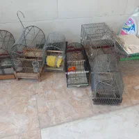 تعدادی قفس پرنده