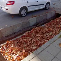 رانا tu5|خودرو سواری و وانت|مراغه, |دیوار