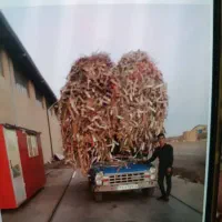 مس برنج آهن کارتن و...|عمده‌فروشی|ورامین, خورین|دیوار