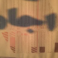 زمین محرومین/دونبش/خیابان مسکونی