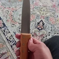 چاقو|ظروف پختوپز|قرچک, شهرک الحدید|دیوار