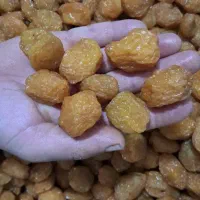 آلو بخارای گوشتی امسالی ،شهریور1405،مناسب صادرات