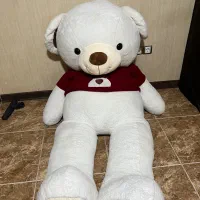 خرس ولنتاینی