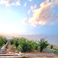 مشکات-زمین-باغ