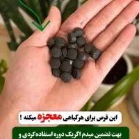 قرص کود ارگانیک|گل و گیاه طبیعی|زنجان, |دیوار