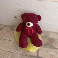 نگهدارنده دوچرخه اسکیت و خرس خارجی