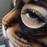 آموزش و خدمات صفرتاصد اکستنشن مژه|خدمات آرایشگری و زیبایی|هشتگرد, شهرک بعثت|دیوار