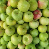 خوردنی و آشامیدنی|خوردنی و آشامیدنی|اصفهان, باغ فدک|دیوار