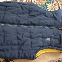 پافر مردونه|لباس|محمدیه-قزوین, |دیوار