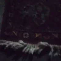 قالی دست باف قدیمی ۱۲ متری|فرش|رامهرمز, |دیوار