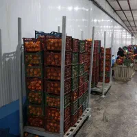 ایجاد واحد سردخانه‌ای جهت نگهداری و صادرات پرتقال