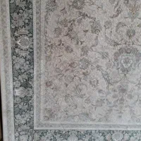 فرش 1200 شانه برجسته|فرش|گرمسار, |دیوار