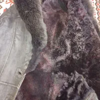 کاپشن بوفالو اصلی