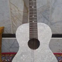 گیتار معاوضه با پرنده یا هرچیز دیگه