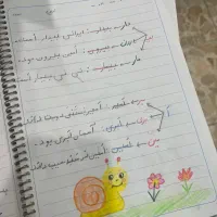 معلم پایه اولی ها و برگزار کننده ی کلاس خصوصی هستم