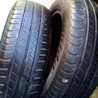 قناری|حراج|بروجرد, |دیوار