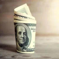 داوطلبانه راهنمایی کسب درآمد