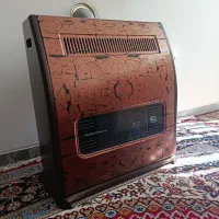 دوتا بخاری در حد نو