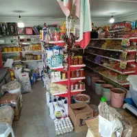 فروشگاه المهدی