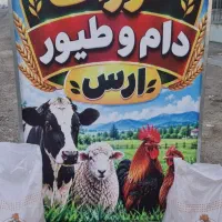 خوراک دام و طیور ارس