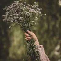 سرکتاب،طالع بینی و ستاره شناسی ازدواج