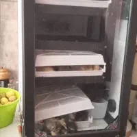 دستگاه جوجکشی 168تایی، اسکندری|لوازم جانبی حیوانات|رشت, گیل|دیوار