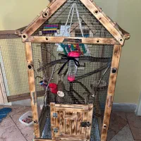 قفس پرنده سنجاب خرگوش خوکچه هندی