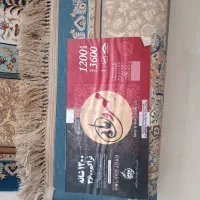 قالی ماشینی برجسته|فرش|رفسنجان, |دیوار