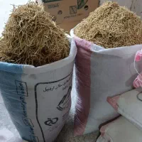 رشته‌ی پلویی و آشی