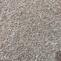 فروش ۲۰۰کیلو گندم سیروان سالم