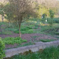 فروش-زمین-مسکونی-با-سند-تک-برگ