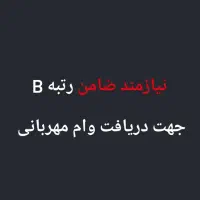 نیازمند ضامن رتبه B