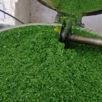 نیرو برای کارگاه سبزیجات آماده ساعت 13 تا 21