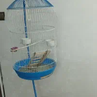 قفس اویز عروس هلندی|لوازم جانبی حیوانات|ری, منصوریه منگل|دیوار