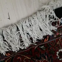 فرش دستباف بیجار|فرش|تهران, جمهوری|دیوار