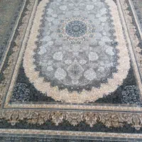 فرش،۶متری نوی نو|فرش|مشهد, وحید|دیوار