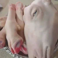 کله پاچه و پاچه گوساله