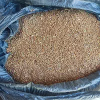 تخم یونجه