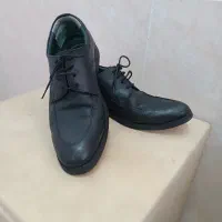 کفش مجلسی نو نو|کیف، کفش، کمربند|بهبهان, |دیوار