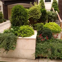 خدمات باغبانی ( گل وگیاه باغچه ای، آپارتمانی)|خدمات باغبانی و درختکاری|تهران, نیروی هوایی (پیروزی)|دیوار