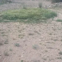 زمین ۴۵۰ متری /شهرک خلیج فارس گنو