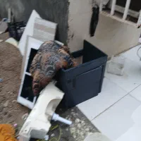 روشویی با شیرو پارکت|لوازم سرویس بهداشتی|بندرعباس, |دیوار