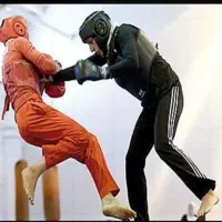 آغاز ثبت نام ووشو(ساندا)