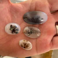 سنگ‌ انگشتر شجر قائن کلکسیونی،عتیقه،باب طلا،معاوضه