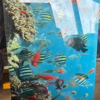 رادیاتور دکوراتیو|آبگرمکن، پکیج، شوفاژ|سرخرود, |دیوار