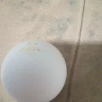 تخم نتفه دهر باقلمون امریکایی واکسی بوربورن محلی