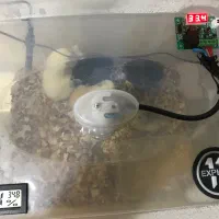 دستگاه جوجه کشی عالی